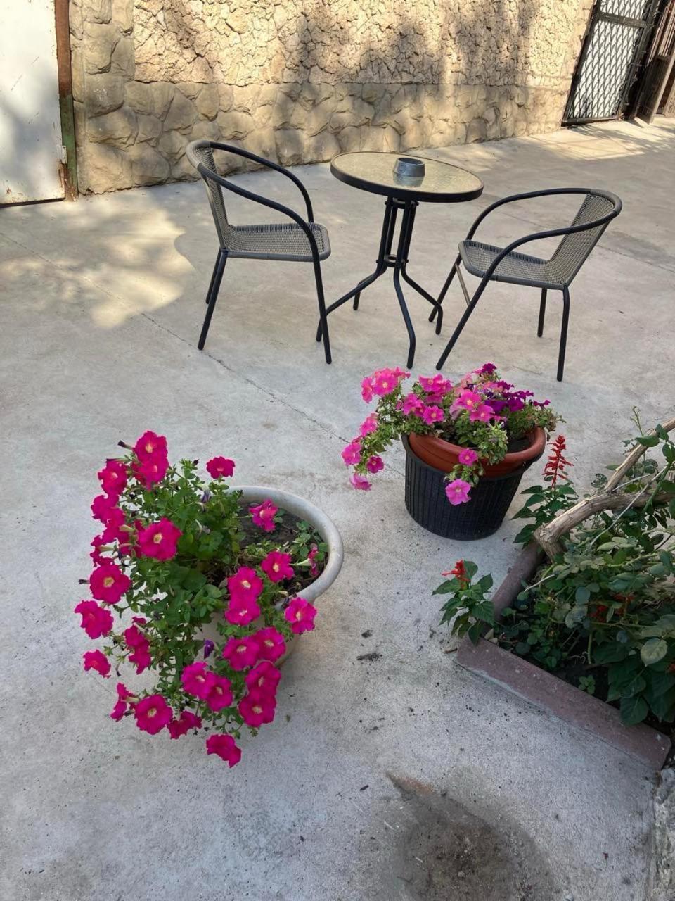 צ'יסינאו Newhome מראה חיצוני תמונה